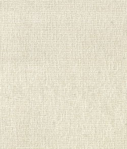ABBEYSHEA Sensation 61 Ivory
