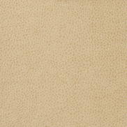 Kravet MATTER.1116 Fabric