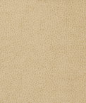 Kravet MATTER.1116 Fabric