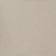 Kravet MATTER.11 Fabric