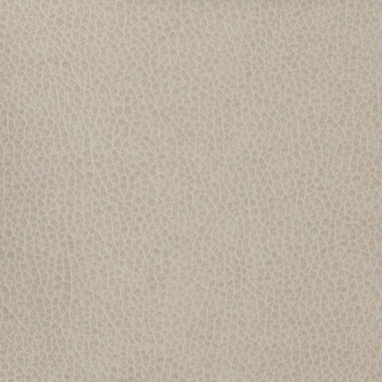 Kravet MATTER.11 Fabric