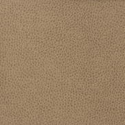 Kravet MATTER.1611 Fabric