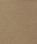 Kravet MATTER.1611 Fabric