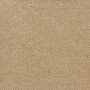 Kravet MATTER.1616 Fabric