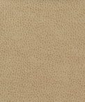 Kravet MATTER.1616 Fabric