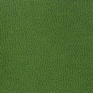 Kravet MATTER.3 Fabric