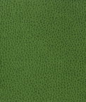 Kravet MATTER.3 Fabric