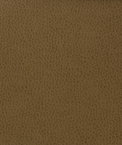 Kravet MATTER.606 Fabric