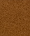 Kravet MATTER.616 Fabric