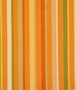 Swavelle / Mill Creek Dwight Stripe Orange Fabric