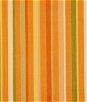 Swavelle / Mill Creek Dwight Stripe Orange Fabric