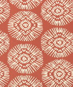 Scott Living Medallion Sandstone Reed