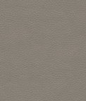 Kravet METALISKIN.11 Metaliskin Pewter Fabric