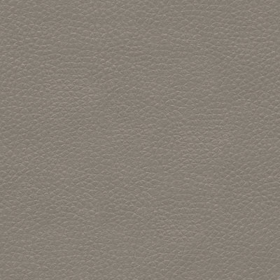 Kravet METALISKIN.11 Metaliskin Pewter Fabric
