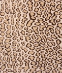 RK Classics Ocelot Taupe Velvet Fabric
