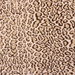 RK Classics Ocelot Taupe Velvet Fabric thumbnail image 1 of 2