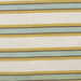 RK Classics Griffon Striped Spring Fabric thumbnail image 1 of 2
