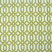 RK Classics Rutland Palace Kiwi Fabric