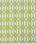 RK Classics Rutland Palace Kiwi Fabric