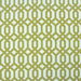 RK Classics Rutland Palace Kiwi Fabric thumbnail image 1 of 2