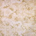 Duralee Constance Sand/Ivory Fabric