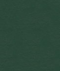ABBEYSHEA Mariah 222 Hunter Green Fabric