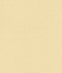 Kravet Mindy.1101.0 Fabric