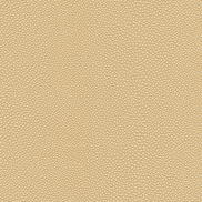 Kravet Mindy.1611.0 Fabric
