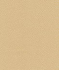 Kravet Mindy.1611.0 Fabric