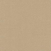 Kravet Mindy.21.0 Fabric