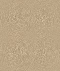 Kravet Mindy.21.0 Fabric