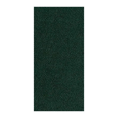 Kravet MOCCASIN.3 Fabric