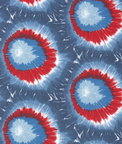 Premier Prints Mod Tie-Dyed Freedom Canvas Fabric