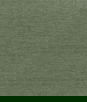 ABBEYSHEA Jayden 22 Fern Fabric