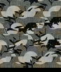 ABBEYSHEA Crescent 92 Panda Fabric