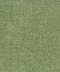 ABBEYSHEA Meditate 22 Cactus Fabric