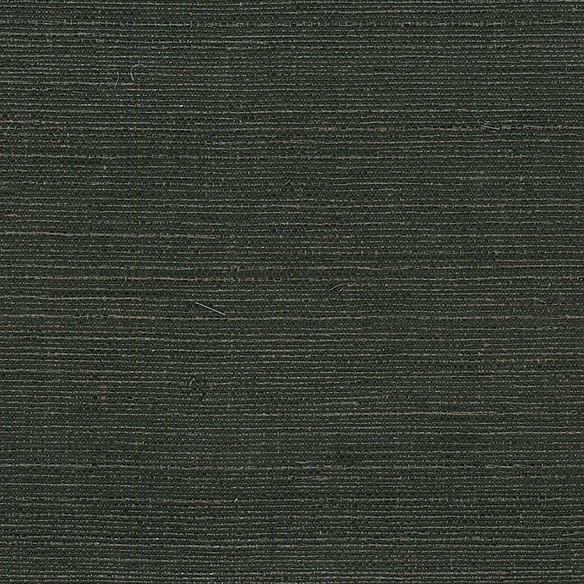 Buy SEABROOK WALLPAPER-JAVA GRASS-METALLIC SILVER, OFF WHITE-NA204