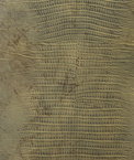 Kravet NAMAQUA.3 Fabric