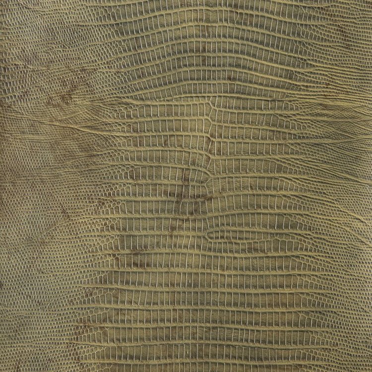 Kravet NAMAQUA.3 Fabric