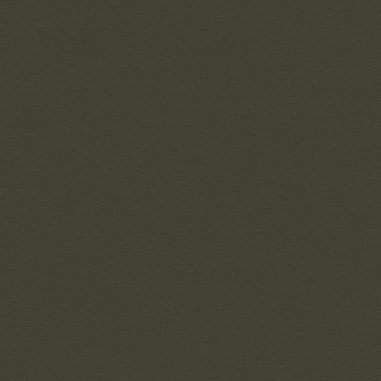 Kravet NEWT.21 Fabric