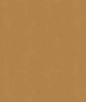 Kravet NOVASUEDE.1601 Fabric