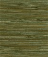 Seabrook Designs NR182X Water Hyacinth Green & Tan Wallpaper