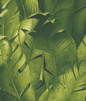NextWall Peel & Stick Tropical Banana Leaves Green Wallpaper