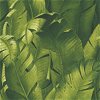 NextWall Peel & Stick Tropical Banana Leaves Green Wallpaper - Image 1