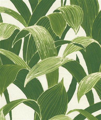 NextWall Peel & Stick Banana Groves Green & White Wallpaper