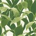 NextWall Peel &amp; Stick Banana Groves Green &amp; White Wallpaper thumbnail image 1 of 5