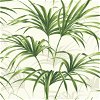 NextWall Peel & Stick Tropical Palm Leaf Green & Off-White Wallpaper - Image 1
