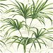 NextWall Peel &amp; Stick Tropical Palm Leaf Green &amp; Off-White Wallpaper thumbnail image 1 of 5