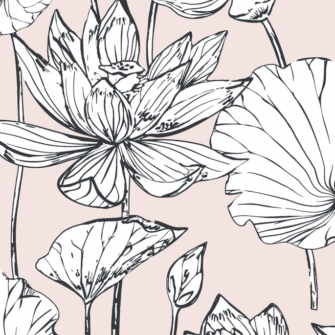 NextWall Peel &amp; Stick Lotus Floral Blush &amp; Ebony Wallpaper image 1 of 3