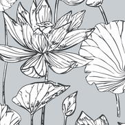 NextWall Peel & Stick Lotus Floral Gray & Ebony Wallpaper
